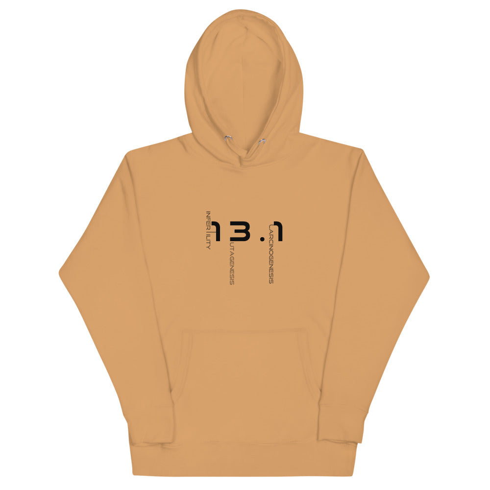 Thirteen Point One Unisex Hoodie BLK TXT